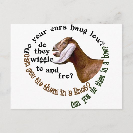 NUBIANのヤギ-あなたの耳は低くつるしますか。 ポストカード (正面)