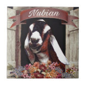 Nubianのヤギ タイル (正面)