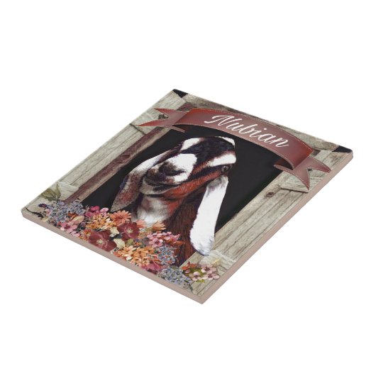 Nubianのヤギ タイル (側面)