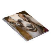 Nubianの酪農場のヤギの雌ジカの白のストライプのヤギ ノートブック (右側)