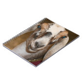 Nubianの酪農場のヤギの雌ジカの白のストライプのヤギ ノートブック (左側)