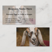 Nubianの酪農場のヤギの雌ジカの白のストライプのヤギ 名刺 (正面/裏面)