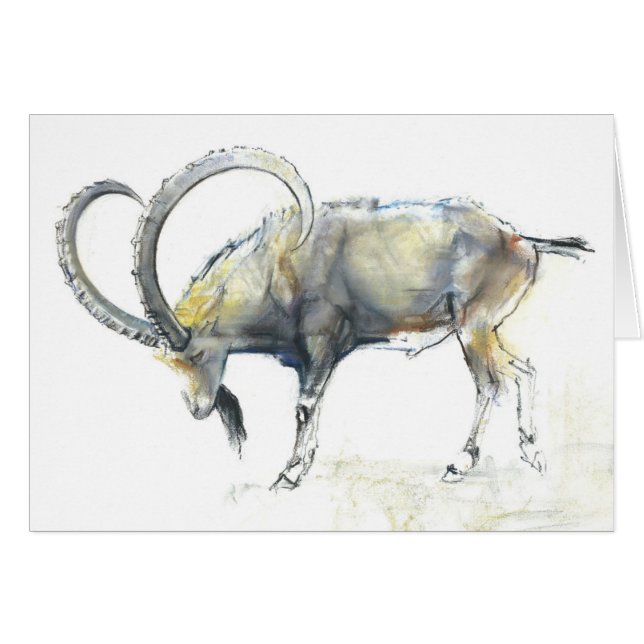 NubianのIbex 2008年 (正面横)