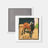 Nubianマグネット – 四角 マグネット (正面/裏面)