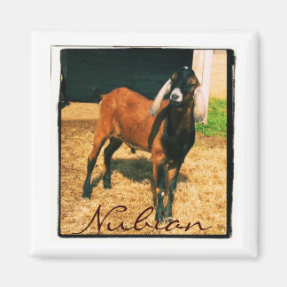 Nubianマグネット – 四角 マグネット