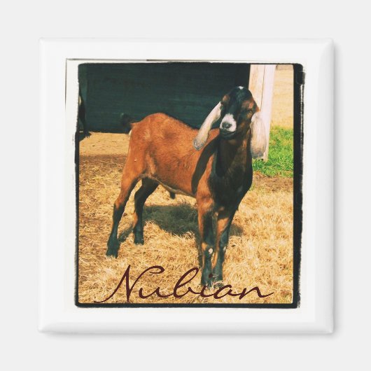 Nubianマグネット – 四角 マグネット (正面)