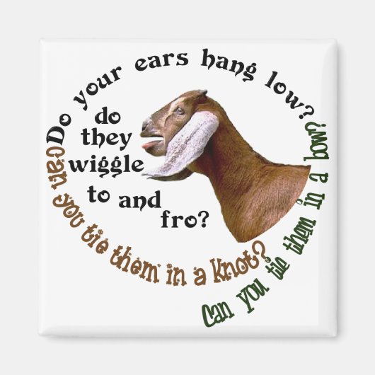 NUBIANヤギ – 耳は低くつるすか? マグネット (正面)