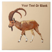 Nubian Ibex - Ein Gedi タイル (正面)