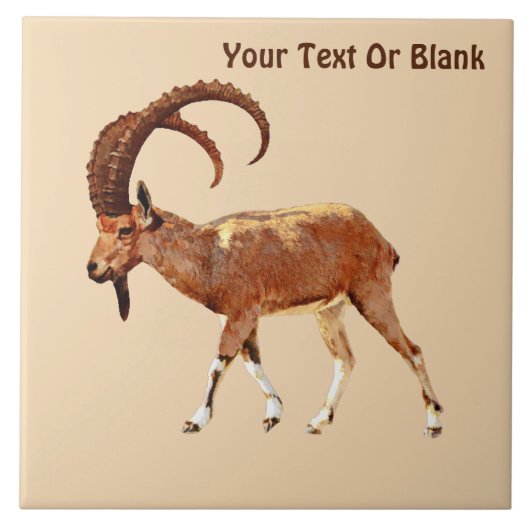 Nubian Ibex - Ein Gedi タイル (正面)