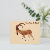 Nubian Ibex - Ein Gedi ポストカード (スタンド正面)