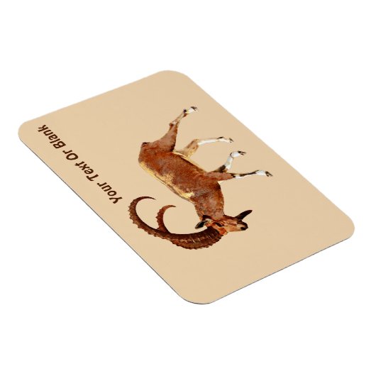 Nubian Ibex - Ein Gedi マグネット (右側)