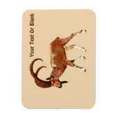 Nubian Ibex - Ein Gedi マグネット (縦)