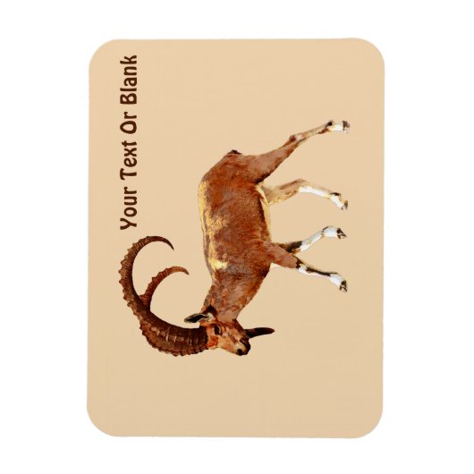 Nubian Ibex - Ein Gedi マグネット (縦)