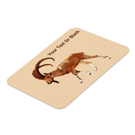 Nubian Ibex - Ein Gedi マグネット (左側)