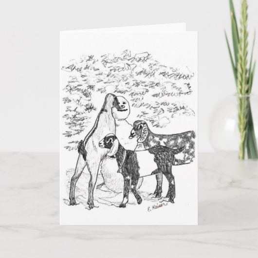 Nubians及び雪だるま シーズンカード (正面)