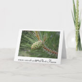 Nublileのマツ円錐形カードブランク カード (裏面)