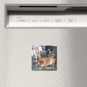 NUBZ NATION磁石。スクエア マグネット (インサイチュ (食洗機))