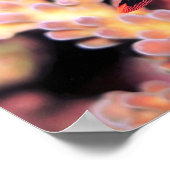 Nudibranchがダウン中 ポスター (角)