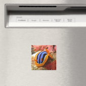 nudibranchマグネット – 2 マグネット (インサイチュ (食洗機))