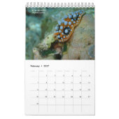 Nudibranchs in Siquijor: Desktop Calendar カレンダー (2月 2027)