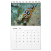 Nudibranchs in Siquijor: Desktop Calendar カレンダー (2月 2026)