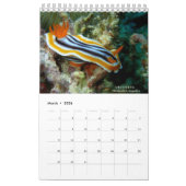 Nudibranchs in Siquijor: Desktop Calendar カレンダー (3月 2026)