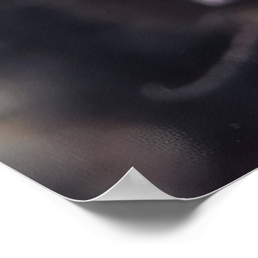 Nudisペア ポスター (角)