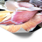 Numbers 6:24 Lord bless you ポスター (角)