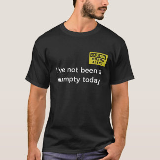 Numpty/愚か者のTシャツ… Tシャツ