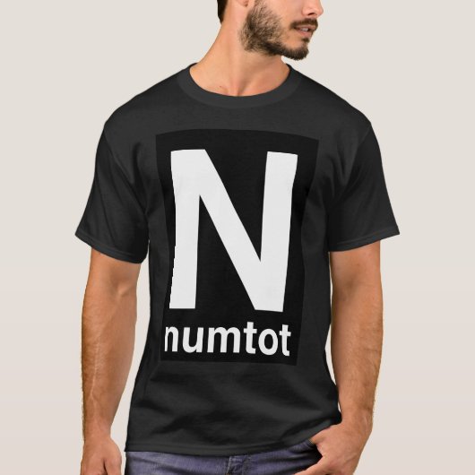 Numtot Transit Tシャツ (正面)