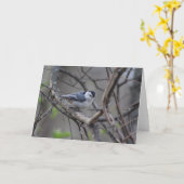 Nuthatchグリーティングカード カード (黄色い花)