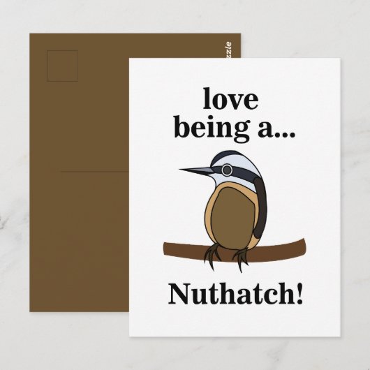 Nuthatch Bird Backyard Birder Birdwatcher ポストカード (正面/裏面)