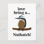 Nuthatch Bird Backyard Birder Birdwatcher ポストカード (正面)