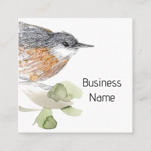 Nuthatch Bird Drawing Tree Nature Wildlife スクエア名刺 (正面)