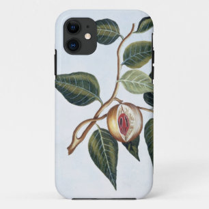 Nutmeg,プレート7, 'Collection Preciuse et Enl iPhone 11 ケース