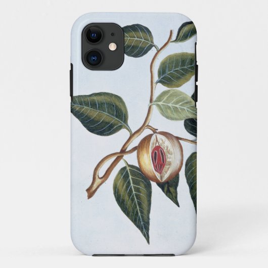 Nutmeg,プレート7, 'Collection Preciuse et Enl Case-Mate iPhoneケース (裏面)