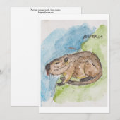 Nutria Greeting Card シーズンカード (正面/裏面)