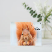 Nuts About Youポストカード ポストカード (スタンド正面)