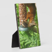 Nutty逆さリス装飾プリント。 フォトプラーク (側面)