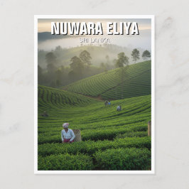 Nuwara Eliya Tea Plantation Sri Lanka ポストカード