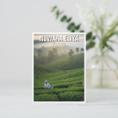 Nuwara Eliya Tea Plantation Sri Lanka ポストカード (スタンド正面)