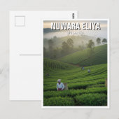 Nuwara Eliya Tea Plantation Sri Lanka ポストカード (正面/裏面)