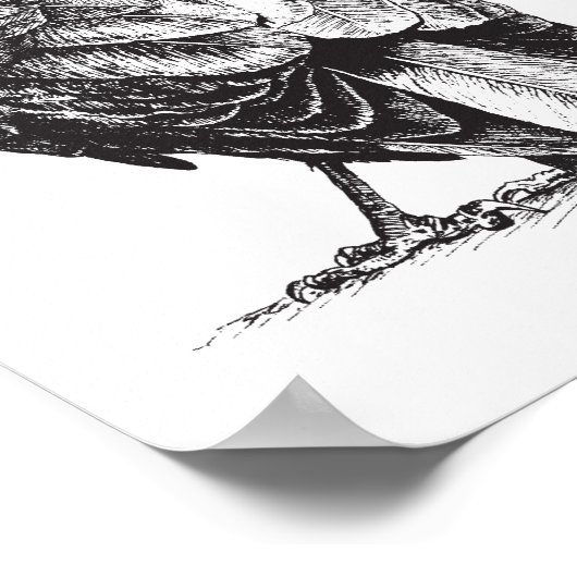 NWクロウ ポスター (角)