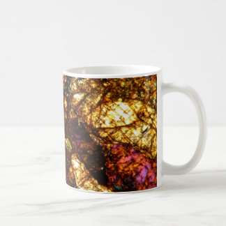 NWAの1877年のコーヒーカップの隕石はセクションを薄くします コーヒーマグカップ