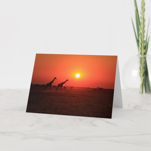 Nxai鍋の日没 シーズンカード (正面)