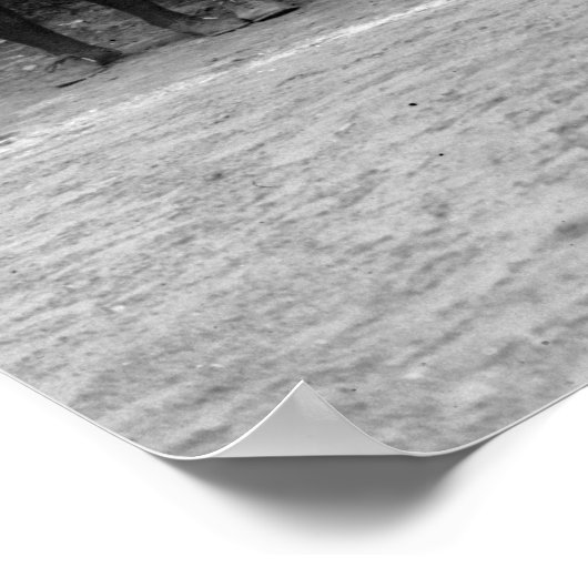 NY Female Giants Baseball, 1913 ポスター (角)