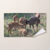 Nyala Antelope African Wildlife Photo バスタオルセット (ハンドタオル)