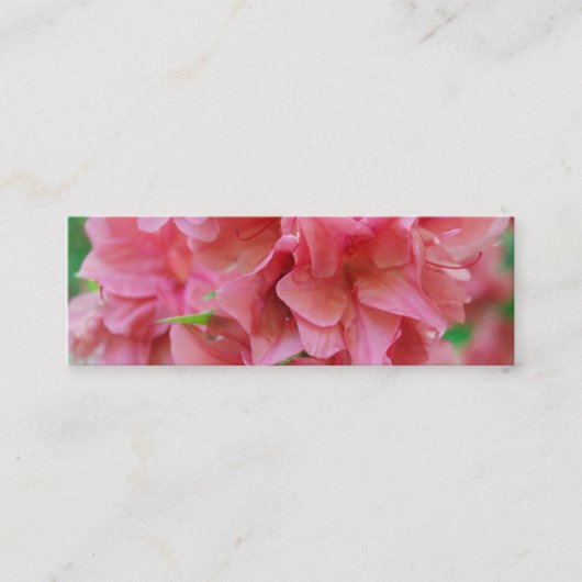 NYBG: 第116 スキニー名刺 (正面)