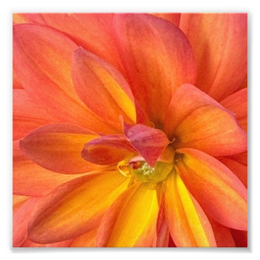NYCの花 フォトプリント            (正面)
