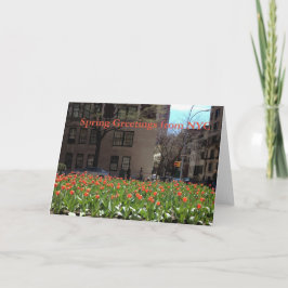 NYCカードからのレッドチューリップ春グリーティング カード